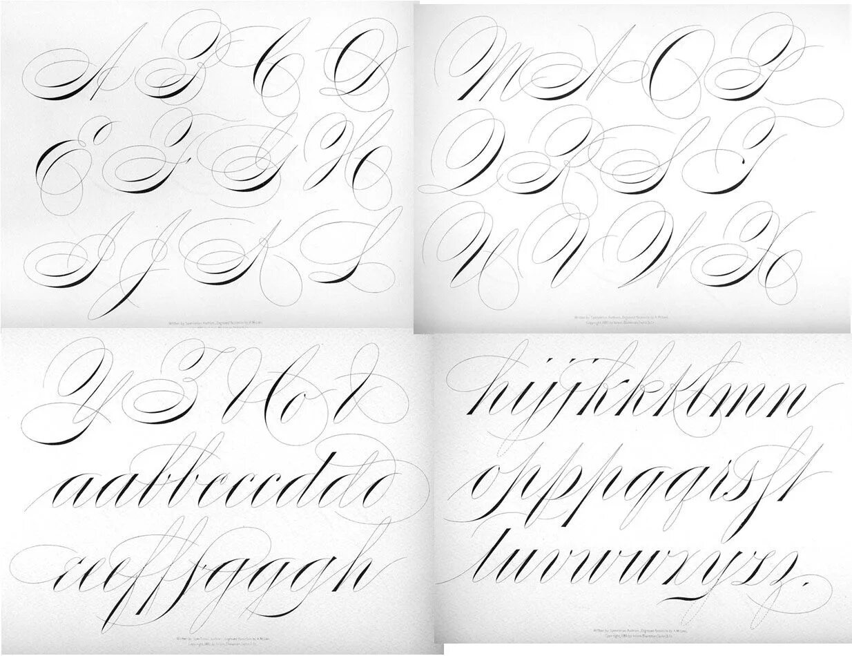 Спенсериан алфавит. Каллиграфия упражнения копперплейт. Шрифт Spencerian. Spencerian прописи. Каллиграфия уроки для начинающих