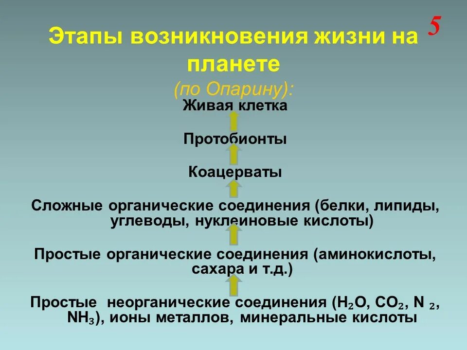 Этапы возникновения жизни. Этапы возникновения жизни на земле. Этапы возникновения жизни по Опарину. Этапы возникновеничжизеи на земле.