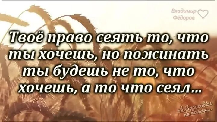 Главное сеять души в людях. Доброхотно дающего любит бог. Счастье в жизни. Притча о сеятеле библия. Главное сеять души в людях.