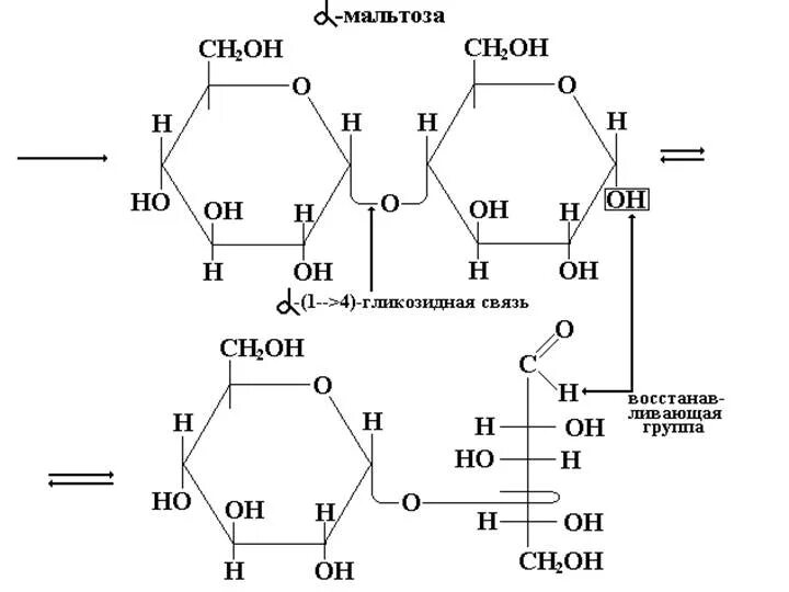 Связь 4 гликозидная. Альфа лактоза Тип гликозидной связи. Альфа 1 6 гликозидная связь.