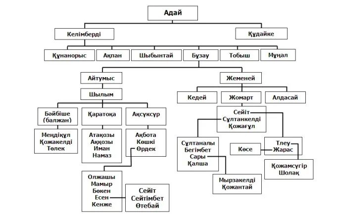 Включи адай. Род Адай. Древо родов казахов. Казахский род Адай. Род Адай у казахов.