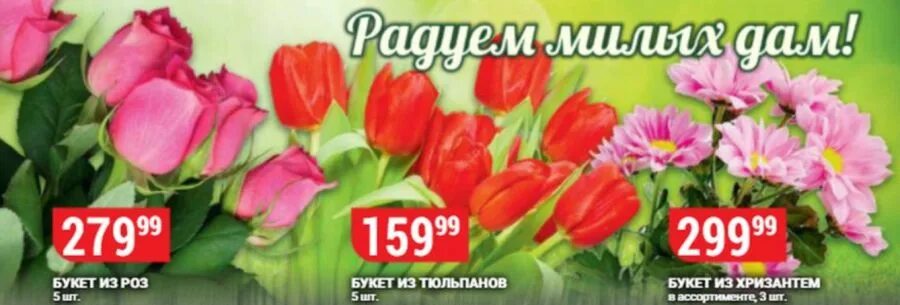 Универсам верный. Верный тюльпаны. Акция на тюльпаны. Букет желтых тюльпанов. Тюльпаны в окее.