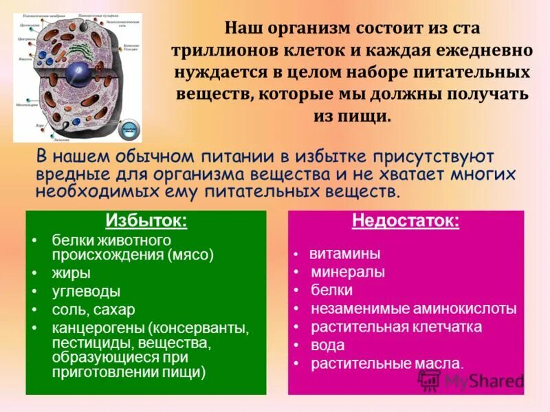 Осуществляют питание клетки. Питание клетки человека. Питание для клеток организма. Клеточное питание для человека. Питание клеток организма человека.