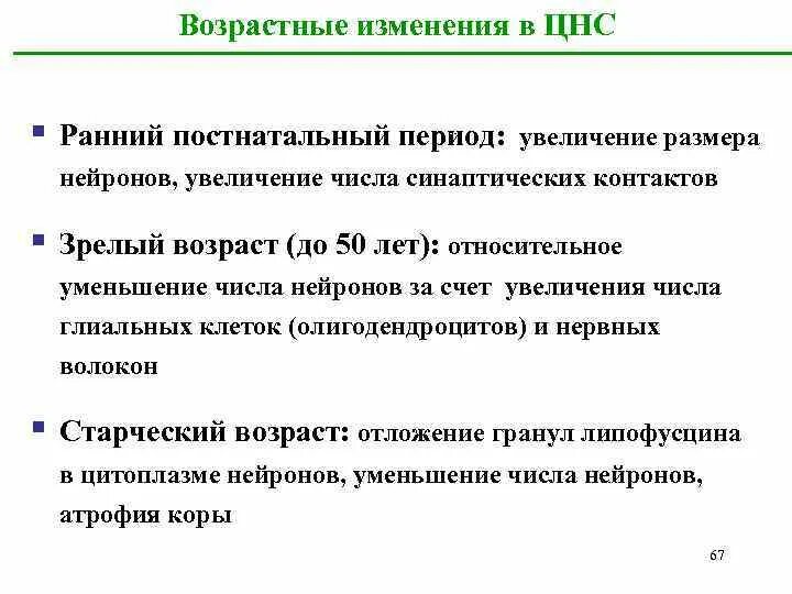 Возрастные изменения головного мозга. Возрастные изменения ЦНС. Возрастные изменения нервной системы человека. Возрастные изменения ЦНС В процессе старения. Изменение нервной системы с возрастом.