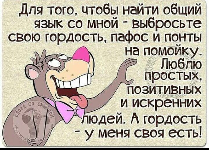 Тест с вами легко найти общий язык. Гордость прикол. Статусы для гордых. Анекдот про гордость. Афоризмы про гордость.