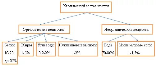 Схема химический состав клетки 5 класс биология. Схема химический состав клетки 8 класс биология. Химические вещества клетки схема. Схема химические соединения клетки. Группы химических элементов клетки