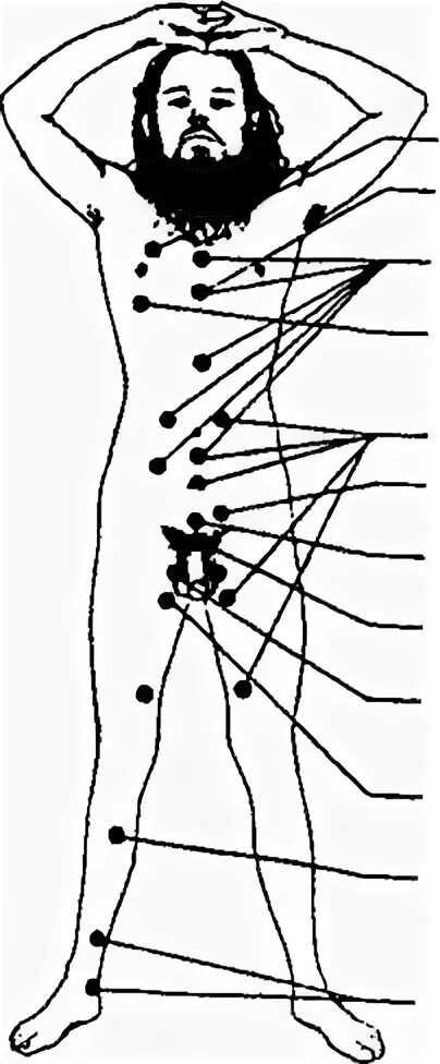 самые возбуждающие точки. чувствительные точки на теле женщины. расположение точки g у женщин. женские точки. точка g у мужчин и женщин.