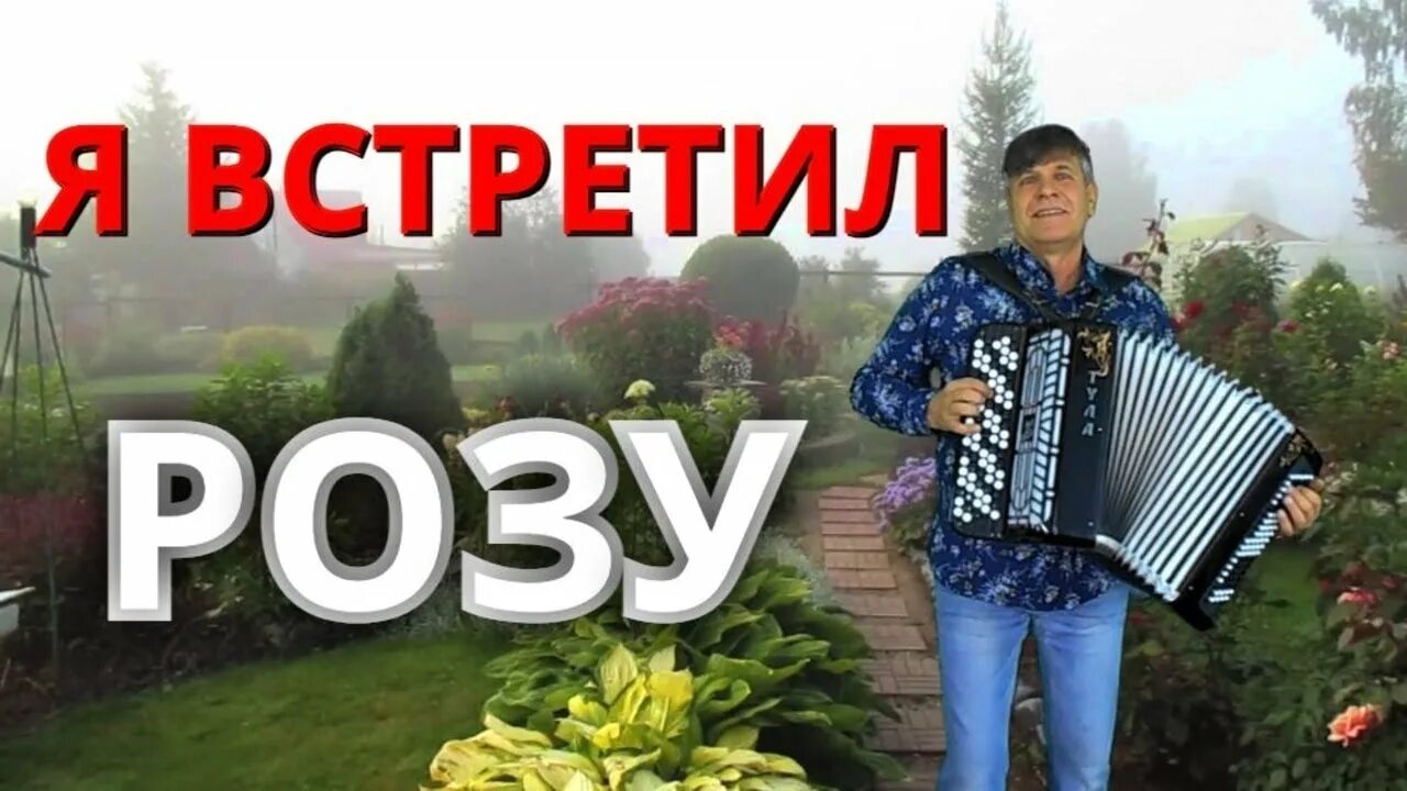 Я встретил розу. Я встретил розу слова. Я встретил розу она цвела. Садко я встретил розу. Группа садко песни я встретил розу