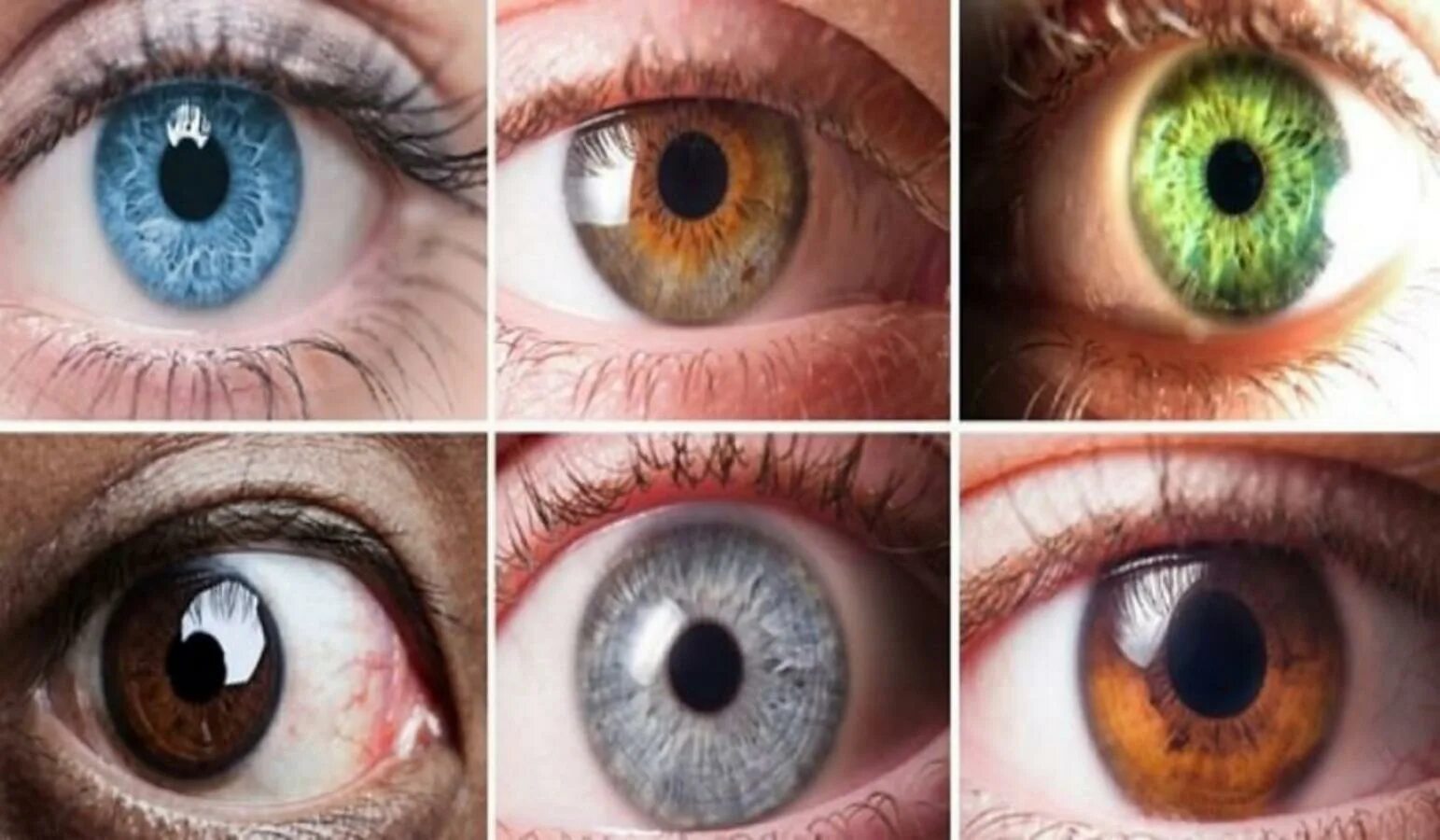 Цвета глаз с названиями. Цвета глаз с названиями и фото. What Colour is your Eyes. D60 Eye Color. Глаза меняются от настроения