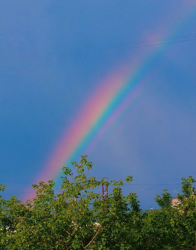 Iz rainbow. Радуга. Радуга из окна. Радуга из. Пейзажи с радугой вертикальные.