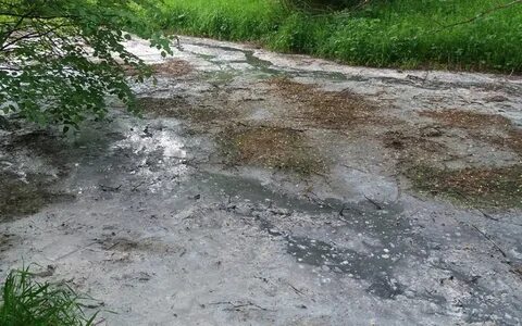 В течении ручья