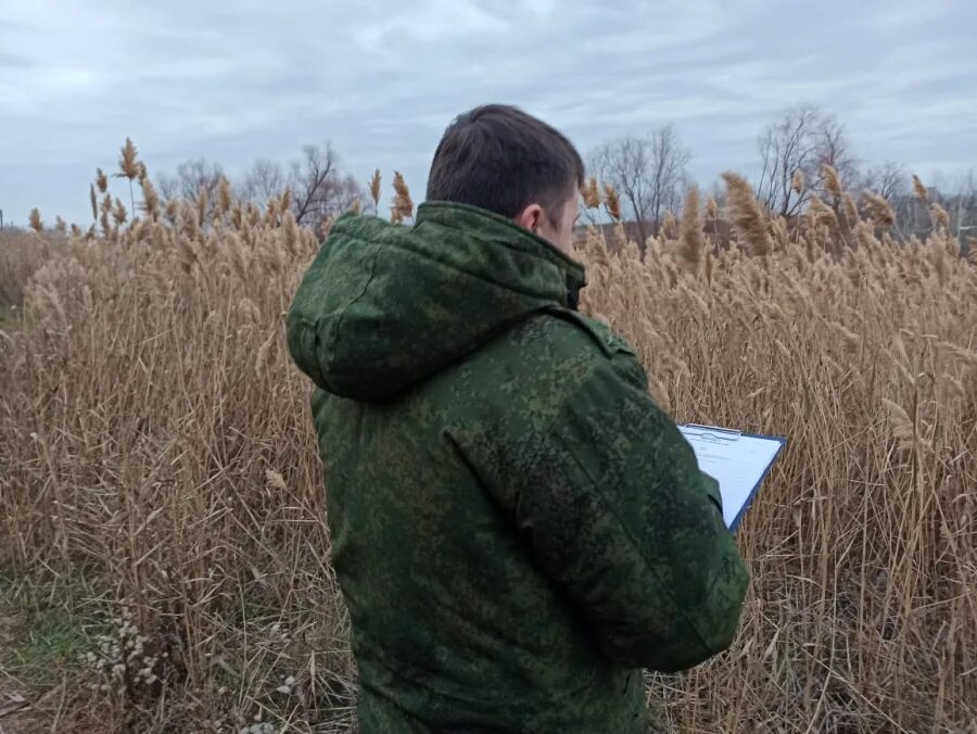 В Энгельсском районе ограбили пенсионера. Сторож техники на поле фото и картинки. Сторож энгельс