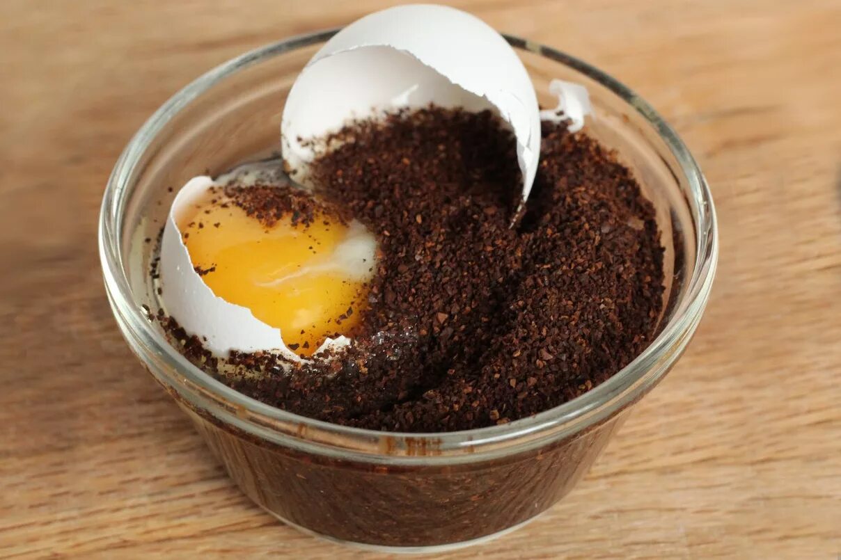Что можно приготовить из яиц и какао. Кофе с яйцом. Кофе с желтком. Кофе с яичным желтком. Какао с яйцом.