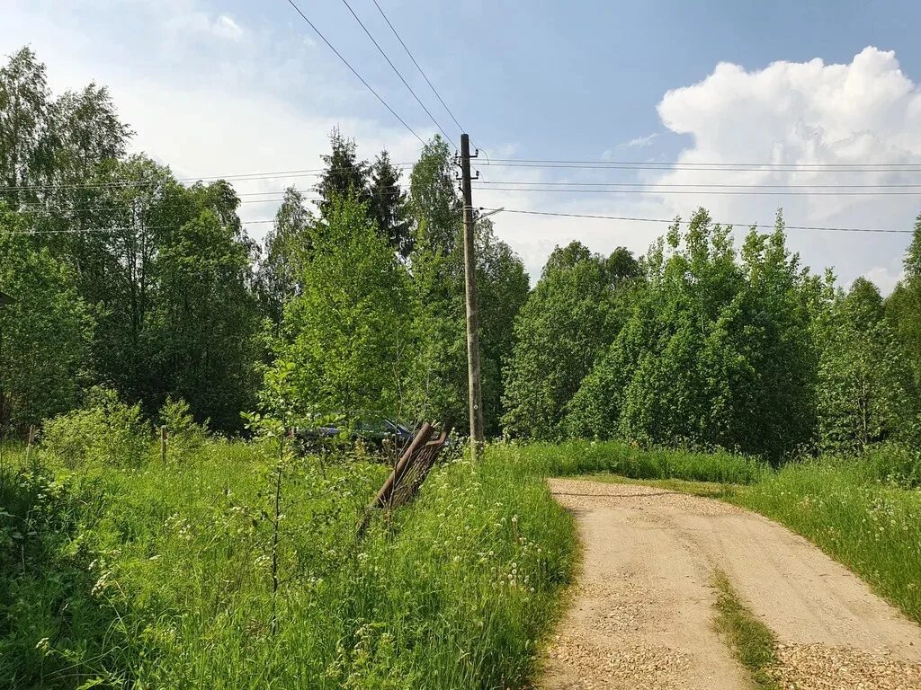 Река покша кострома. Андрейково парк коттеджный поселок. Погода в андрейково рузский. Деревня андрейково в рыбинске дорога. Андрейково тверь.