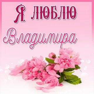 Любимый алешка