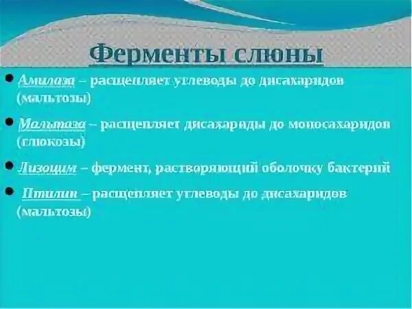 Назовите ферменты ротовой полости. Ферменты слюны. Какие ферменты содержатся в слюне. Основные ферменты слюнных желез. Ферменты расщепляющие углеводы в слюне.