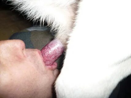 Gay guys sucking dog cock ❤ Best adult photos at unitreedtimes.com. 