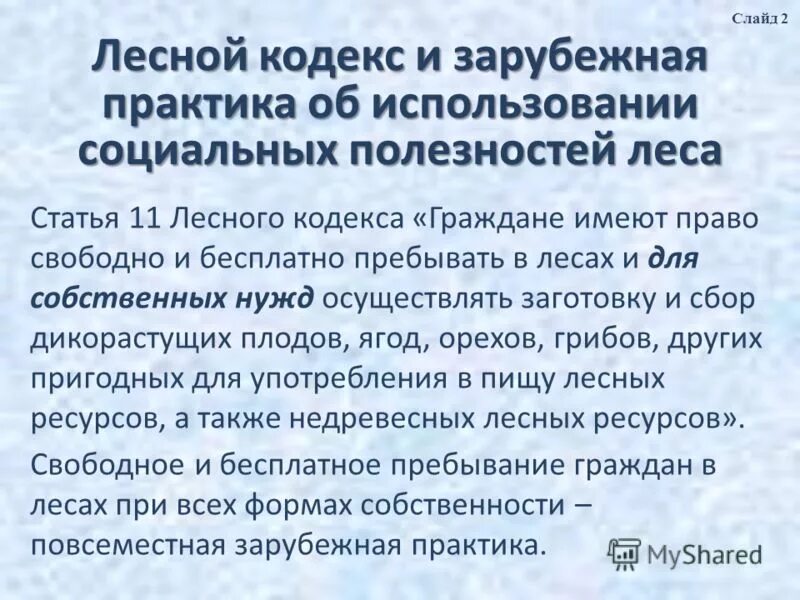 лесной кодекс. виды и цели лесопользования. фз «лесной кодекс». ст 50. какая статья лесного.