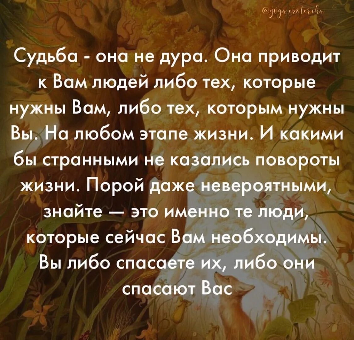 Судьба она не лупа, она приводит к вам людей. Стихи о судьбе. Люди встречаются не случайно цитаты. Афоризмы про судьбу. Нужна человека в чем либо