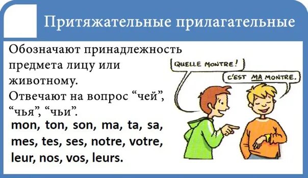 Француз прилагательное. Притяжательные местоимения во французском языке таблица. Притяжательные прилагательные во французском языке. Таблица притяжательных прилагательных. Притяжательное прилагательное французский.