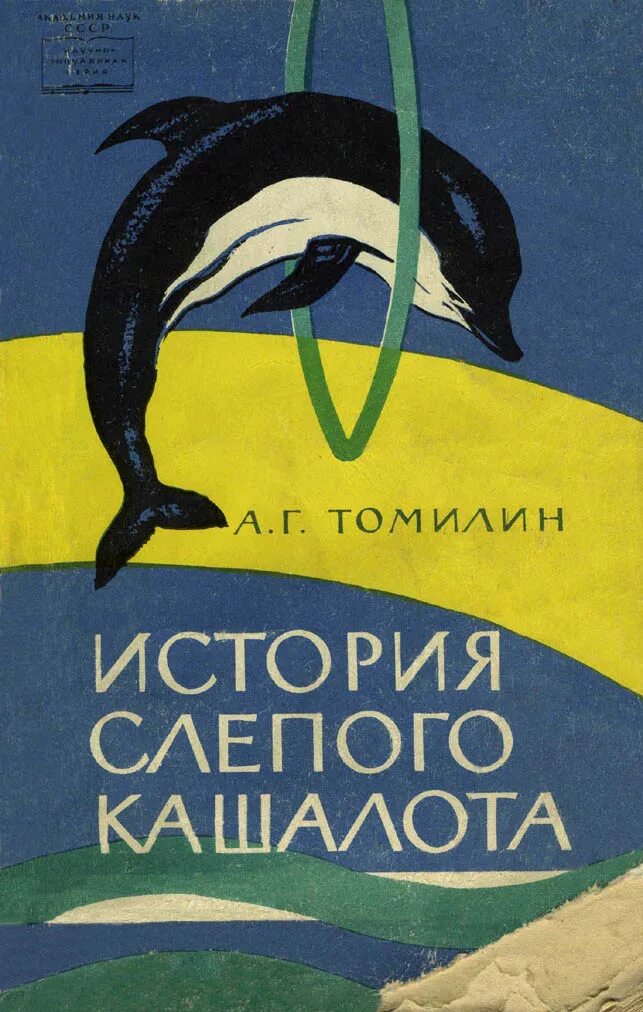 Рассказы про слепых. Томилин а.г. история слепого кашалота.. Томилин. Авенир Григорьевич Томилин. Томилин а. г. китообразные,.