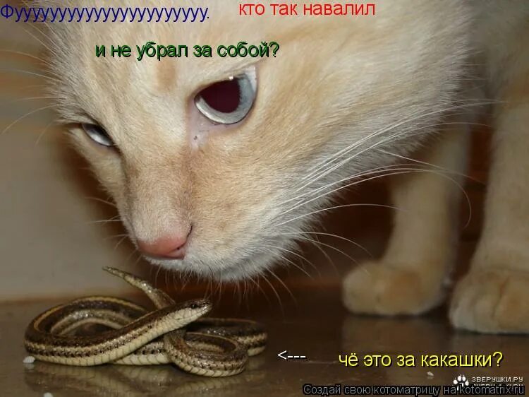 апина узелок завяжется. узелок завяжется кто поет. узелок завяжется кто поет. что значит фразеологизм вить веревки. алена апина 1995.