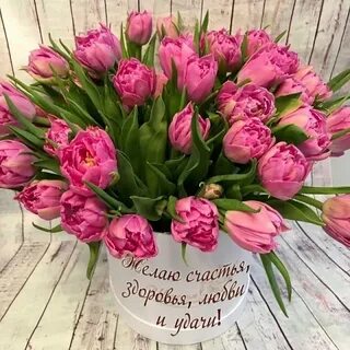С днем рождения тюльпаны картинки