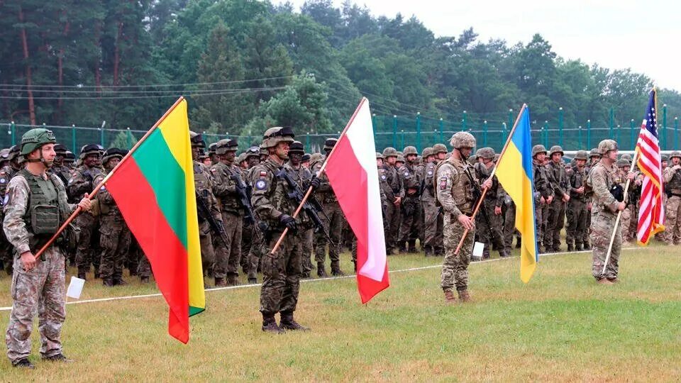 Польские войска. Польско-украинская граница. Военные Польши на Украине. Союзники Белоруссии. Нато высадилось на украине