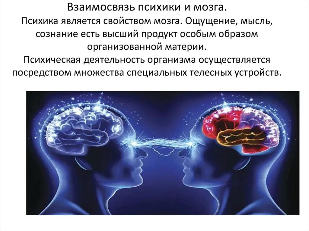 Сознание насколько. Взаимосвязь психики и мозга. Мозг и психика. Психика и мозг человека. Сознание и мозг.