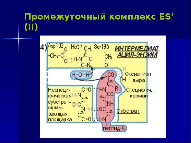 Промежуточный комплекс. Промежуточный комплекс. Промежуточный комплекс в химии это. Комплекс упражнений для спины на тренажере бубновского. Промежуточный комплекс в химии это.