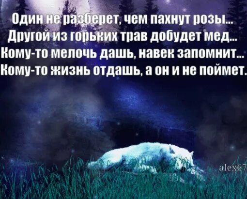 Один не разберет чем пахнут розы другой. Один не разберет чем. Один не разберется чем пахнут розы. Один из горьких трав. Мелочь дашь навек запомнит.