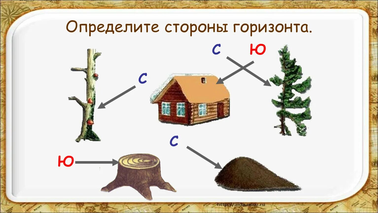 Природные признаки сторон света. По каким природным признакам определить стороны горизонта 2 класс. Определение сторон горизонта. Природные признаки определения сторон горизонта. Определение сторон горизонта по местным признакам.