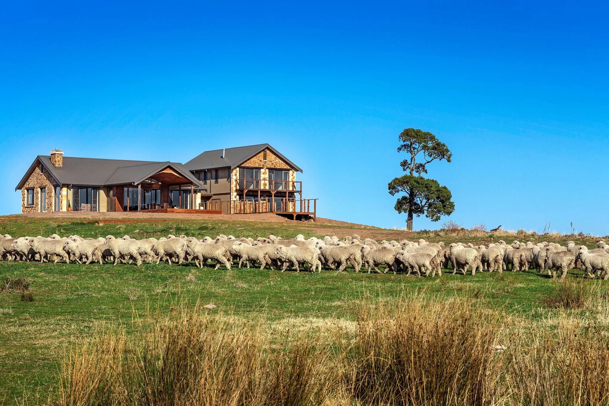 Австралия овцеводческие фермы. Ранчо в Австралии. Овцефермы Австралии. Френли ферма Австралия.