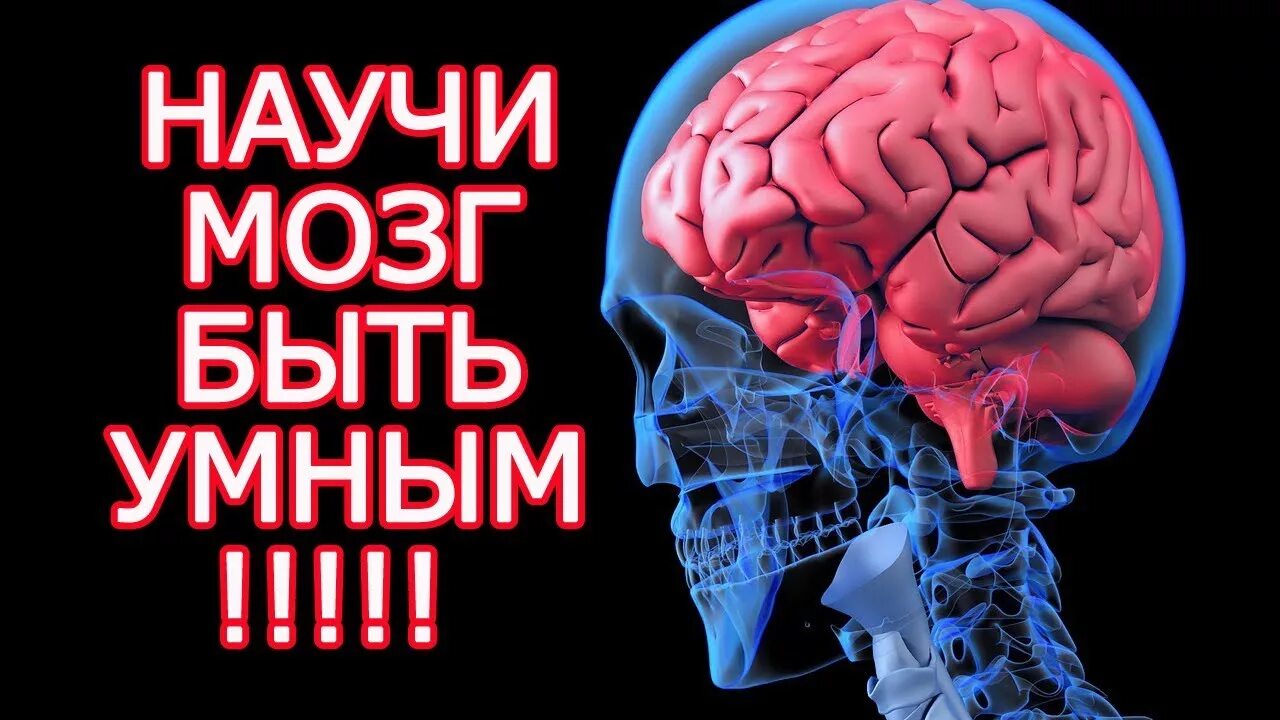 Мозг человека как улучшить работу. Умный мозг. Прокачай свой мозг. Прокачка мозга. Мозга умнеет.