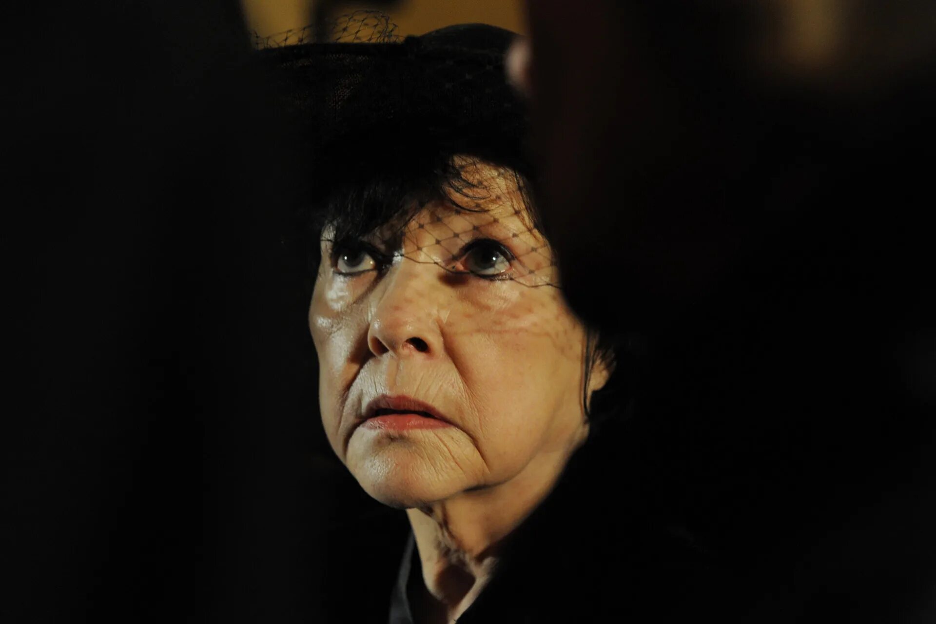 Ахмадулина ю д. Ахмадулина ю д