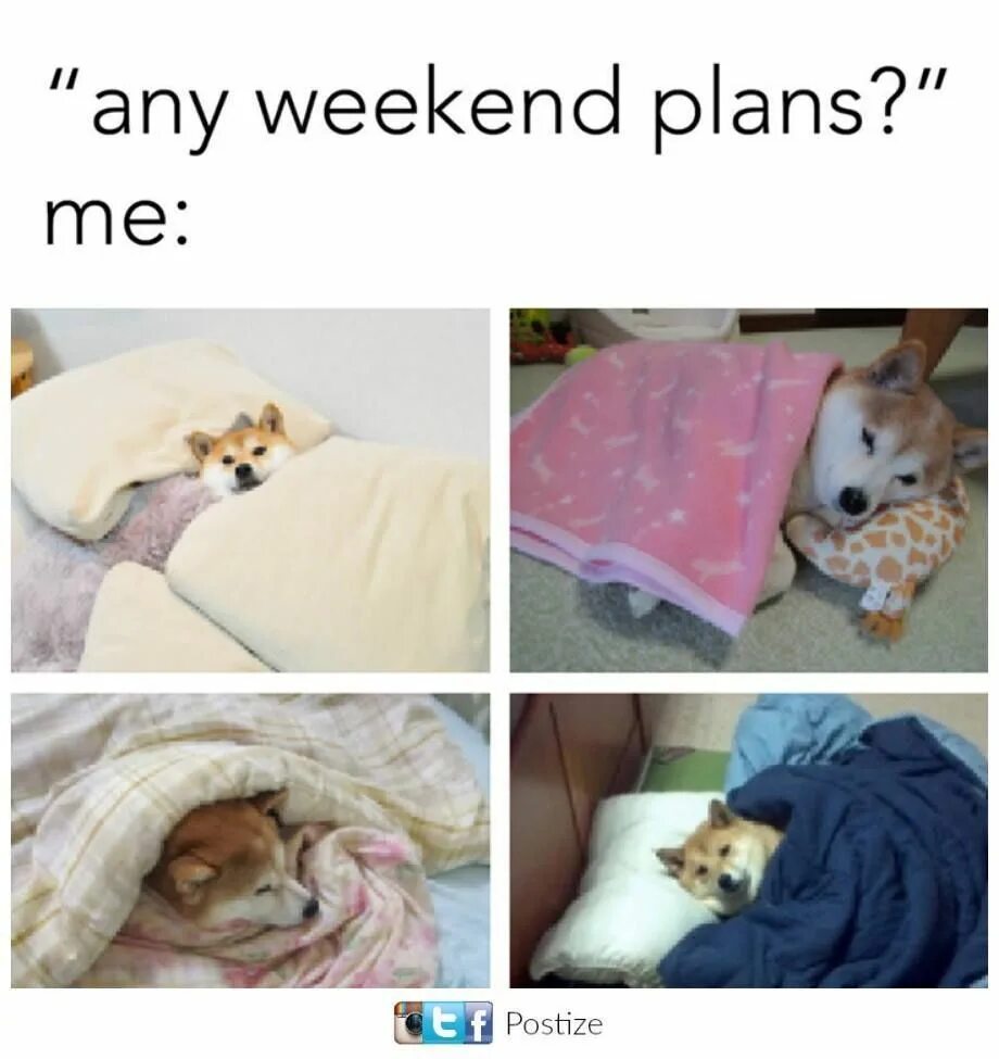 When at the weekends she. Weekend memes. Weekend Plans. Уикенд мемы. The weekend Мем.