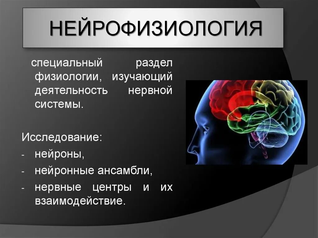 Нейрофизиология. Нейрофизиология мозга. Современная нейрофизиология. Основы нейрофизиологии.