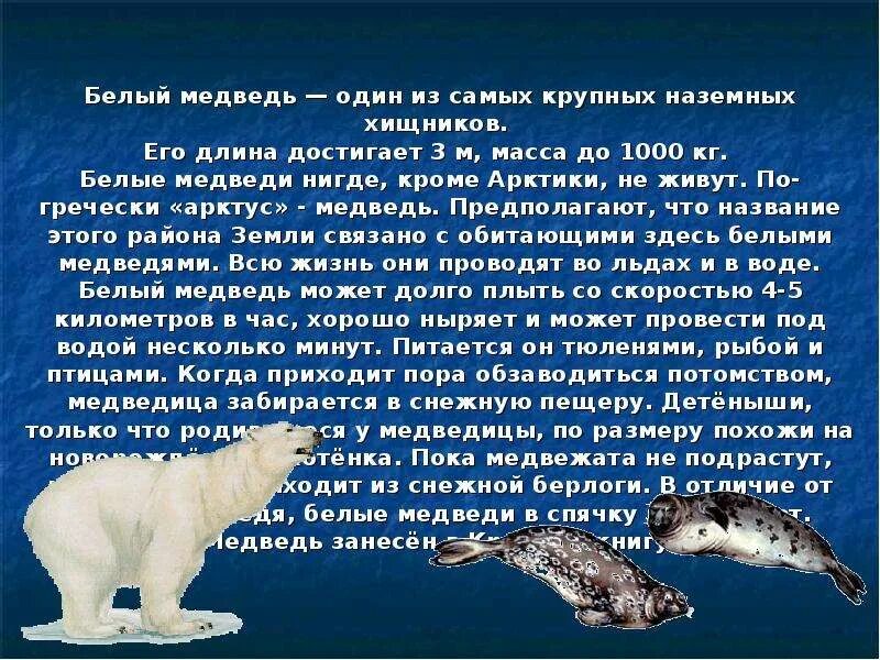 Краткое содержание белые