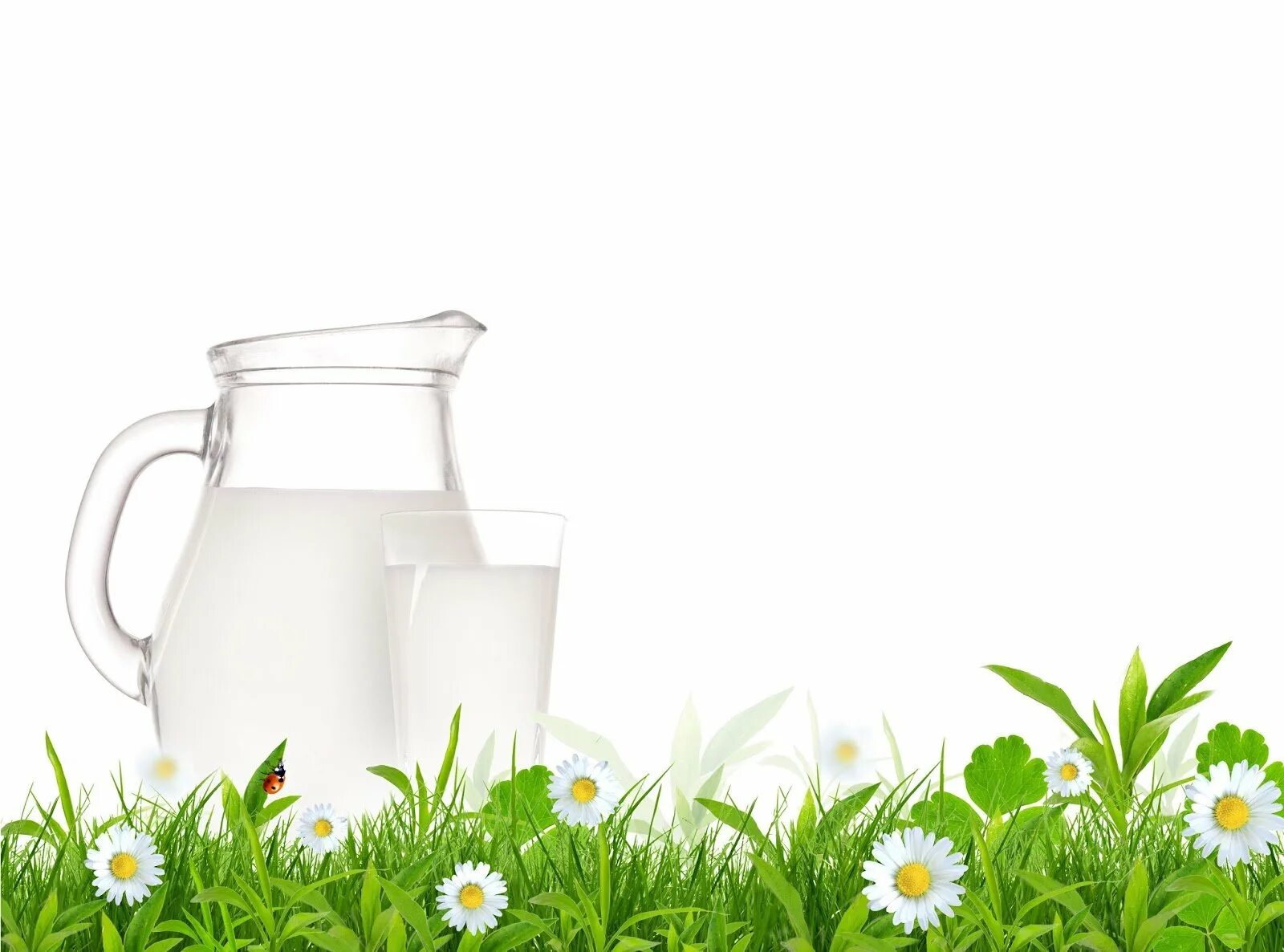 Молоко на фоне травы. Всемирный день молока 1 июня. Всемирный день молока. День здоровья молоко. Открытка с днем молока.