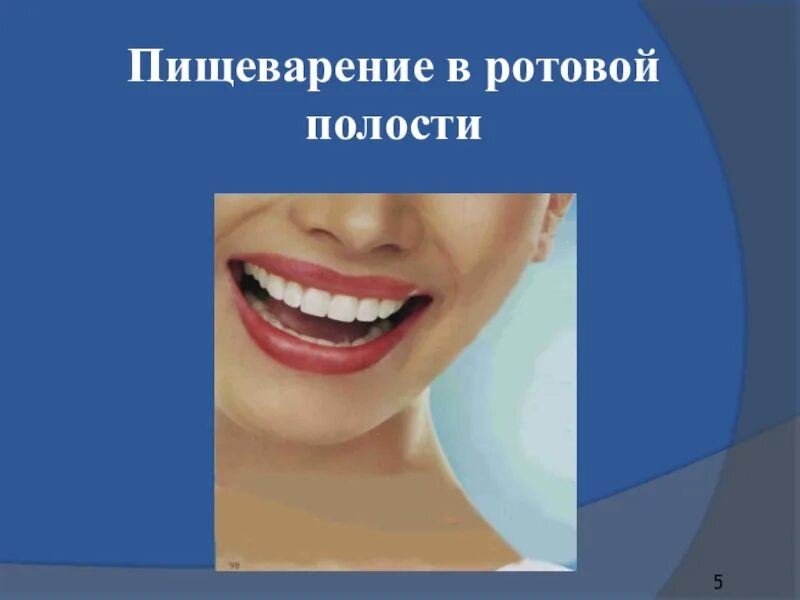 Химическое пищеварение в ротовой полости. Пищеварение в ротовой полости. Пищеварение в ротовой полости фото. Пищеварение в ротовой полости 8 класс презентация. Урок здоровье полости рта картинки.