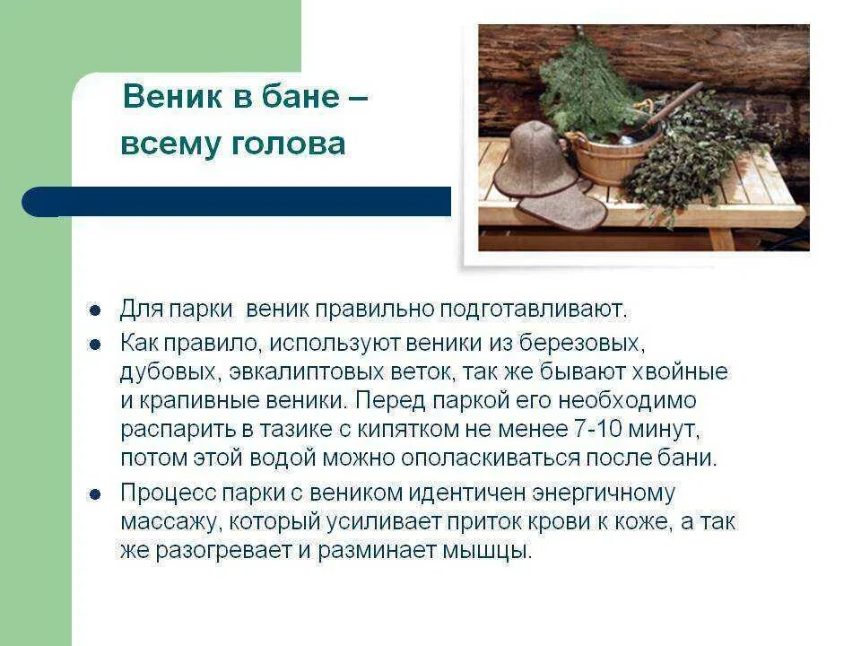 Как правильно запарить веник. Банные веники характеристики. веник для бани характеристика. как правильно веник для бани. размачивать веник для бани.
