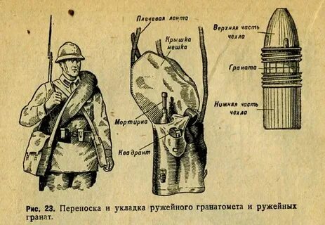 Эхо вызванное ружейным выстрелом дошло до стрелка