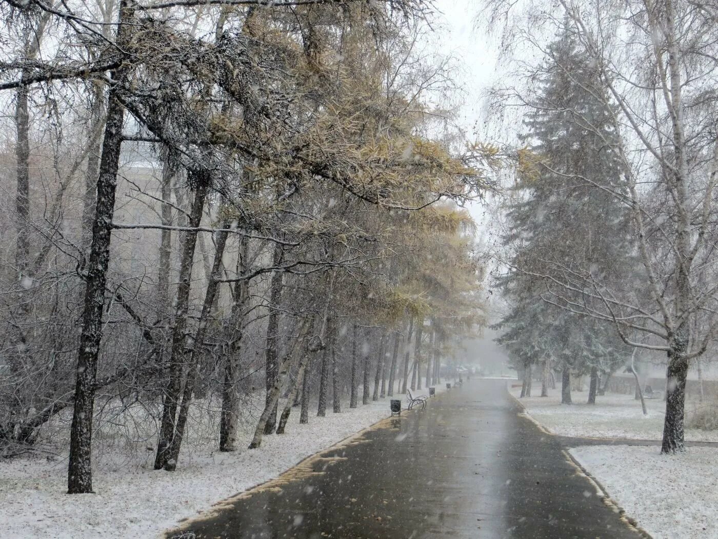Толстой погода после мокрого