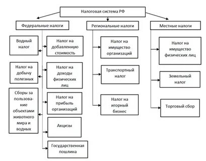 Обзор налоговых систем