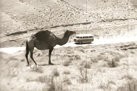 Каракум видео