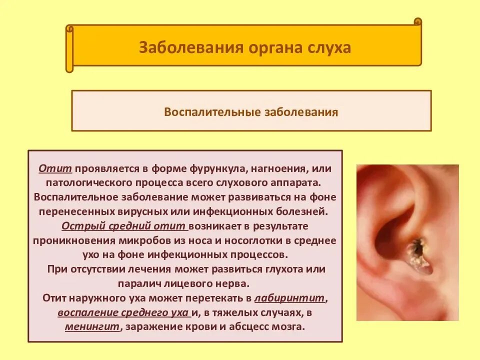 Слуховой анализатор болезни отит. Заболевание органов слуха доклад 8 класс биология. Строение уха и средний отит. Заболевания наружного уха отит наружный. Внутреннее ухо лечение и симптомы