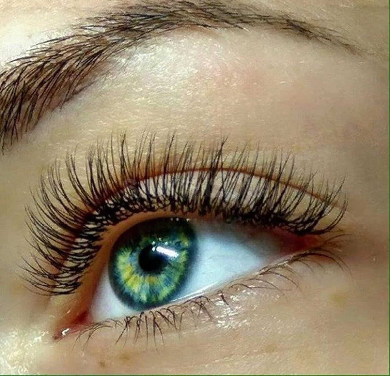 Нарощенные ресницы натуральный эффект 2д лисий. Классическое наращивание ресниц. Ресницы 2д натуральный эффект. Наращивание ресниц натуральный эффект 3 д. Наращивание ресниц классика лисий эффект.