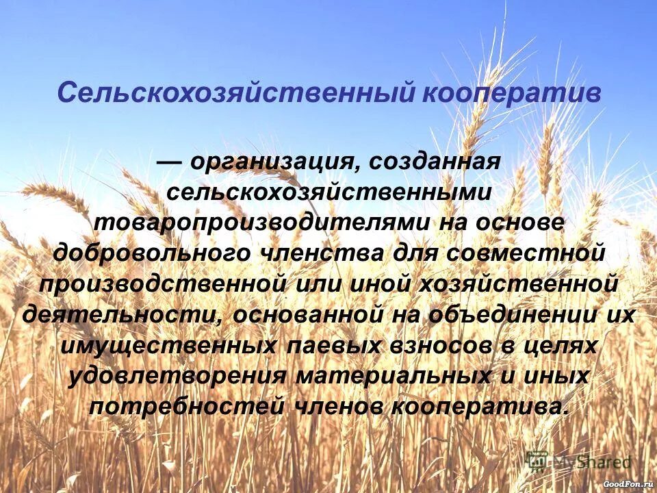 193 о сельскохозяйственной кооперации. Сельскохозяйственный кооператив. Сельскохозяйственный потребительский кооператив. Сельскохозяйственный производственный кооператив. Сельскохозяйственная кооперация.