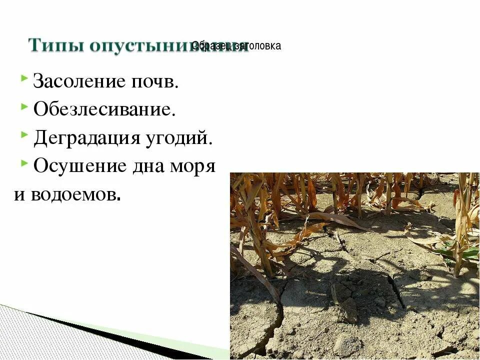 Какие действия человека приводят к опустыниванию