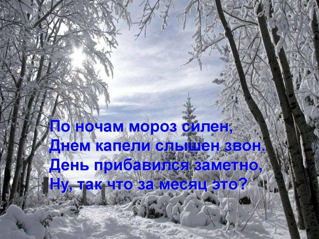 Стихотворение был сильный мороз. Стихотворение про сильный Мороз. Мороз сильный добрый день. Стихи про морозную ночь. День прибавляется.